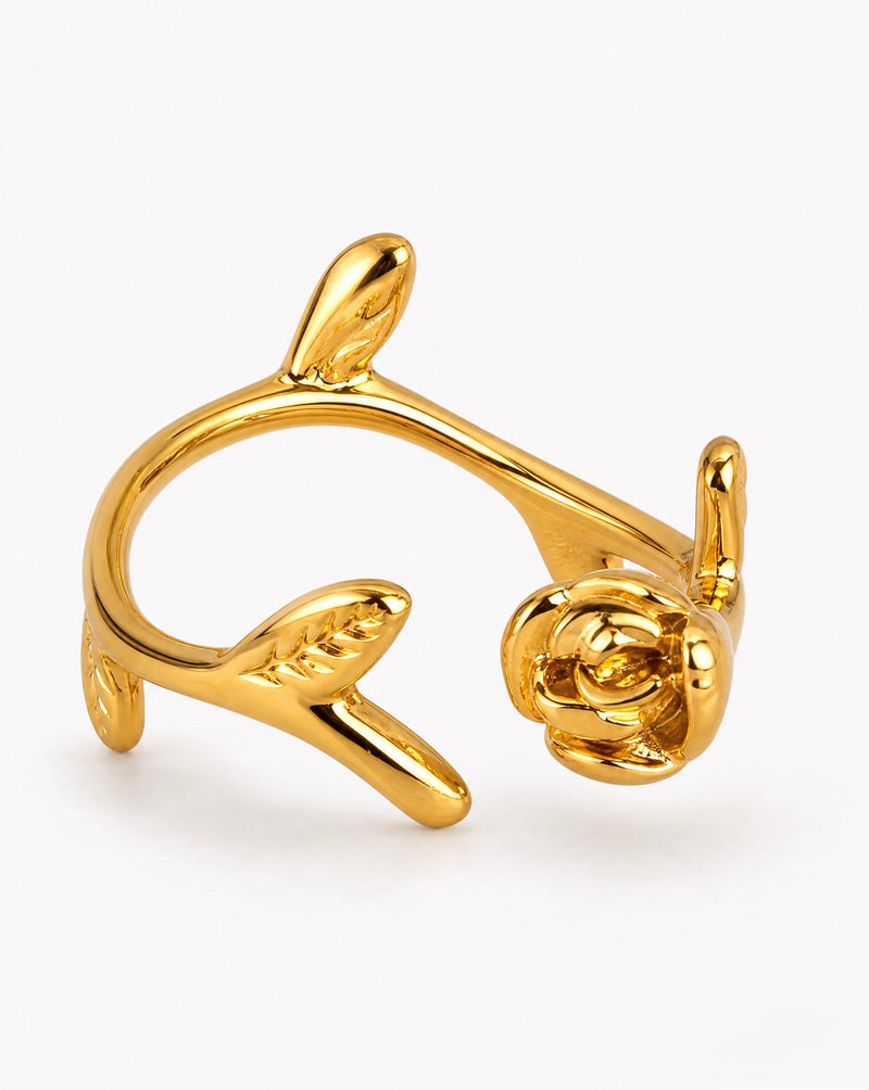 Stainless Steel Rings